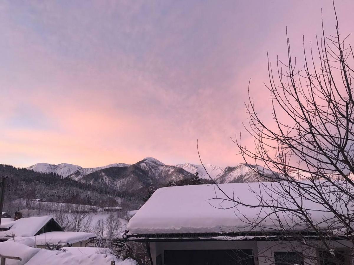 Apartment With A Stunning View Of The Alps - Wohnung Mit Atemberaubenden Blick Auf Die Alpen Fischbachau Luaran gambar